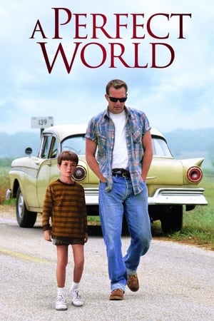 A Perfect World 1993 Hindi Dual Audio [940MB] Movie Poster