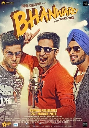 Bhanwarey 2017 Hindi Movie [850MB] Movie Poster