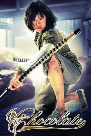 Chocolate (2008) Hindi Dual Audio [830MB] Movie Poster