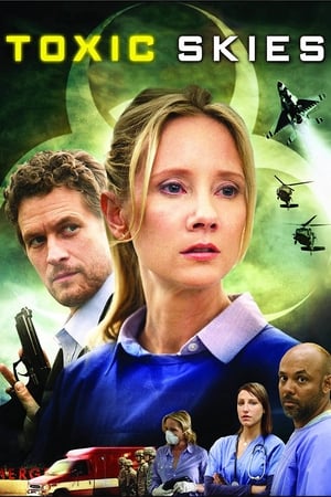 Toxic Skies 2008 Hindi Dual Audio [950MB] Movie Poster